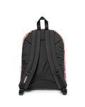 PINNACLE Brize RetroSoft - 4
