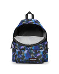 PADDED PAK'R® Ditsy Ray - 3