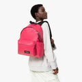 PADDED PAK'R  - 2