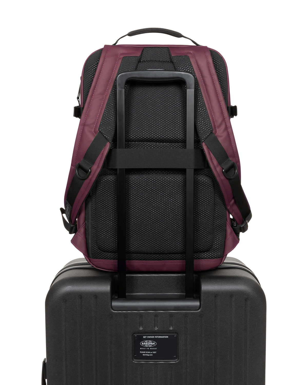 Tecum M CNNCT Top Fig - 6