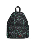 DAY PAK'R Liquit Black - 1