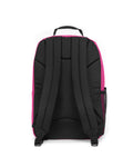STUDY BUDDY Fuchsia Pink - 4