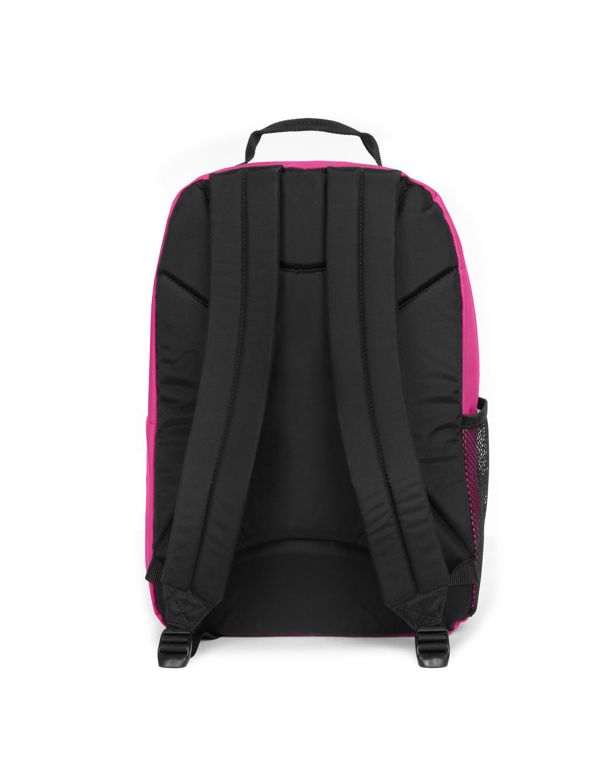 STUDY BUDDY Fuchsia Pink - 4