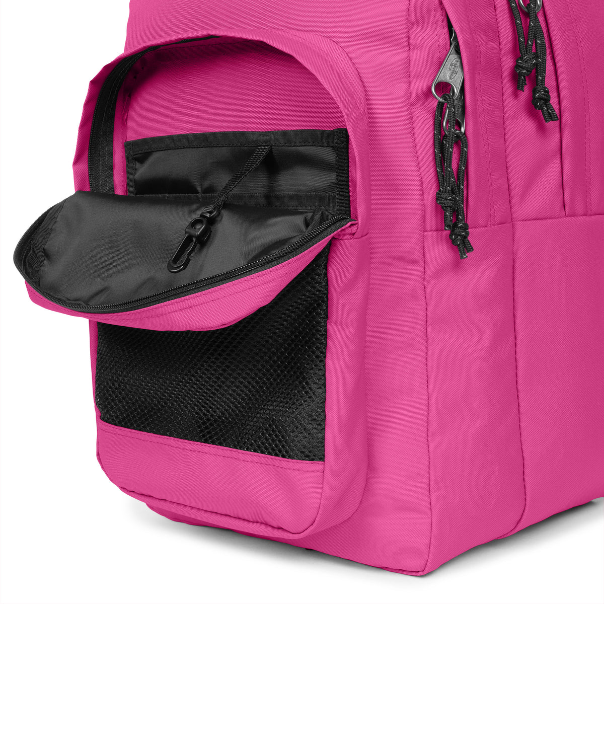 STUDY BUDDY Fuchsia Pink - 6