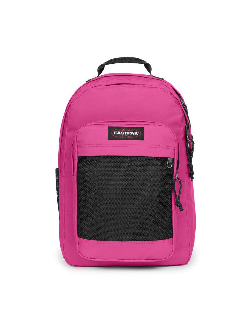 STUDY BUDDY - Fuchsia Pink / Large