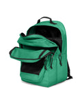 STUDY BUDDY Shamrock Green - 2