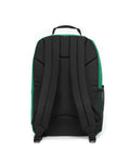 STUDY BUDDY Shamrock Green - 3