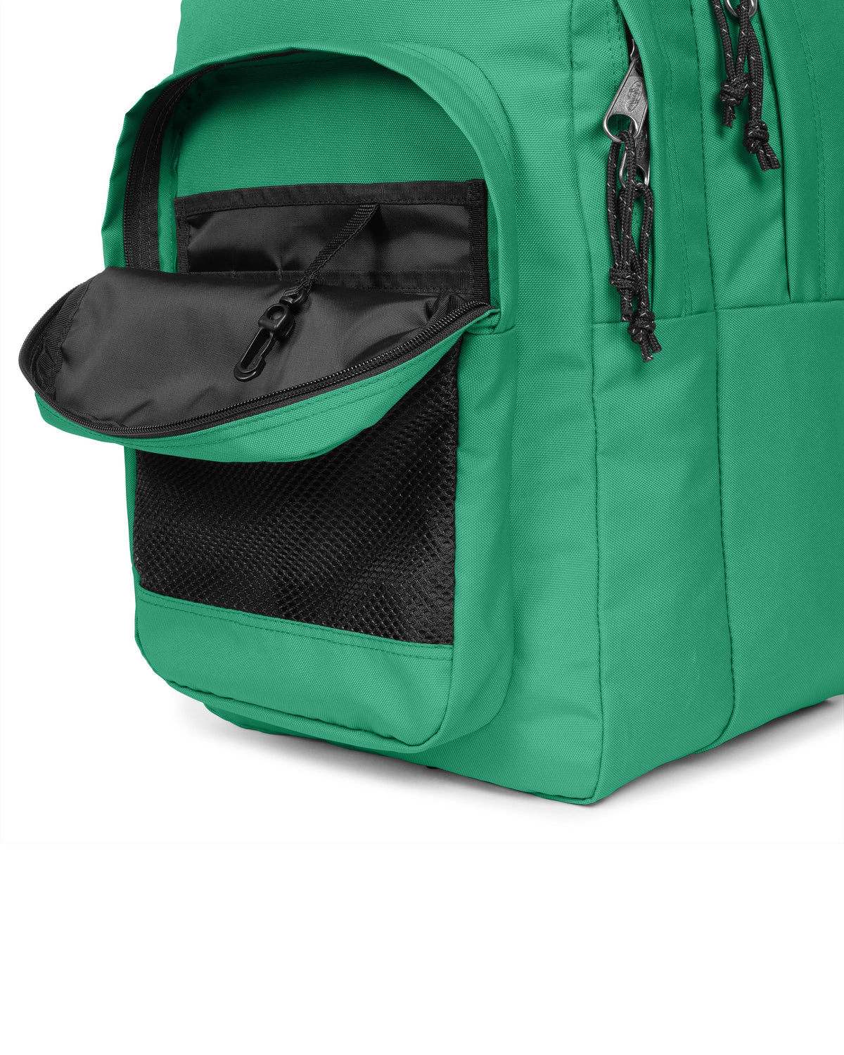 STUDY BUDDY Shamrock Green - 6