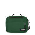 SET BRISTLE GREEN  - 3